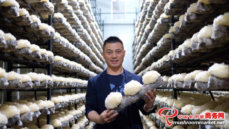 雷华乔：工厂化食用菌技术引领者