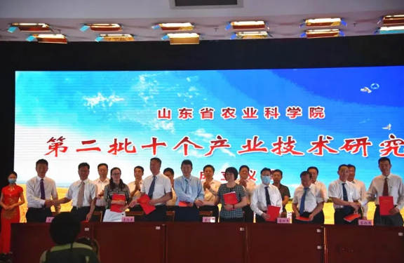 山東省農(nóng)業(yè)科學(xué)院（惠民）香菇產(chǎn)業(yè)技術(shù)研究院正式揭牌