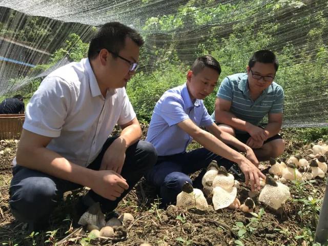 四川省農業科學院土壤肥料研究所副研究員李小林：赤水丹心扶貧路