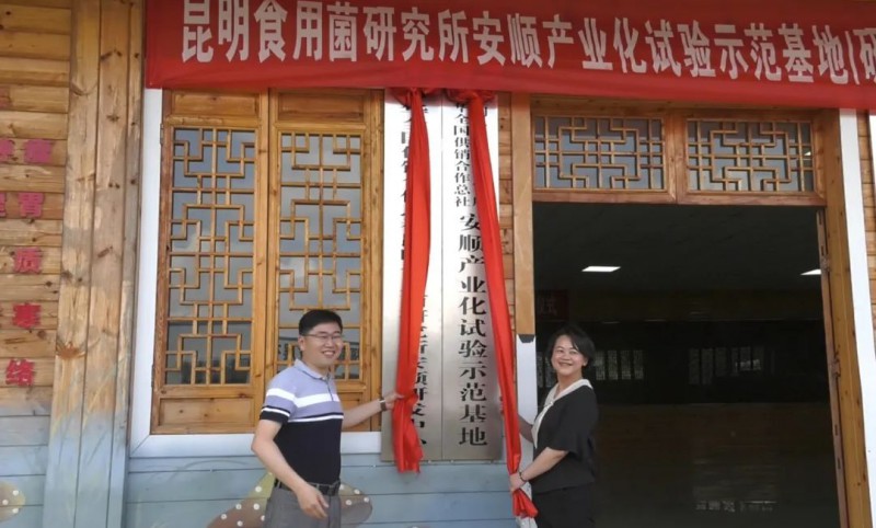 中華全國供銷合作總社昆明食用菌研究所安順研發中心揭牌