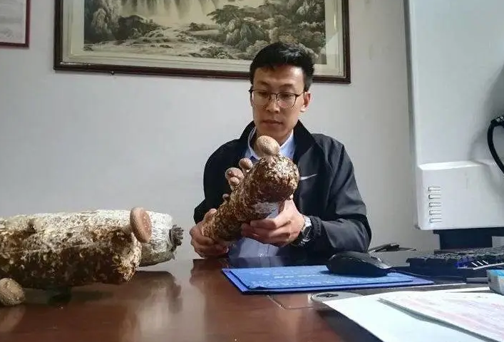 山東青年返鄉(xiāng)種出“致富菇” 實現(xiàn)年產(chǎn)值達三千多萬、出口多國