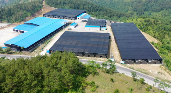 四季香菇種植模式 鼓起農民的錢袋子