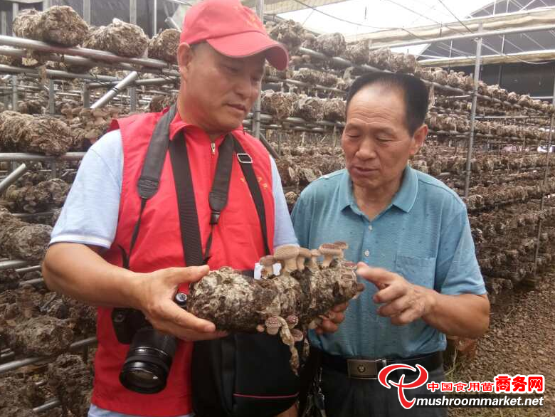 河南省卢氏中专：“精准脱贫技能培训”班办到食用菌企业扶贫栽培基地