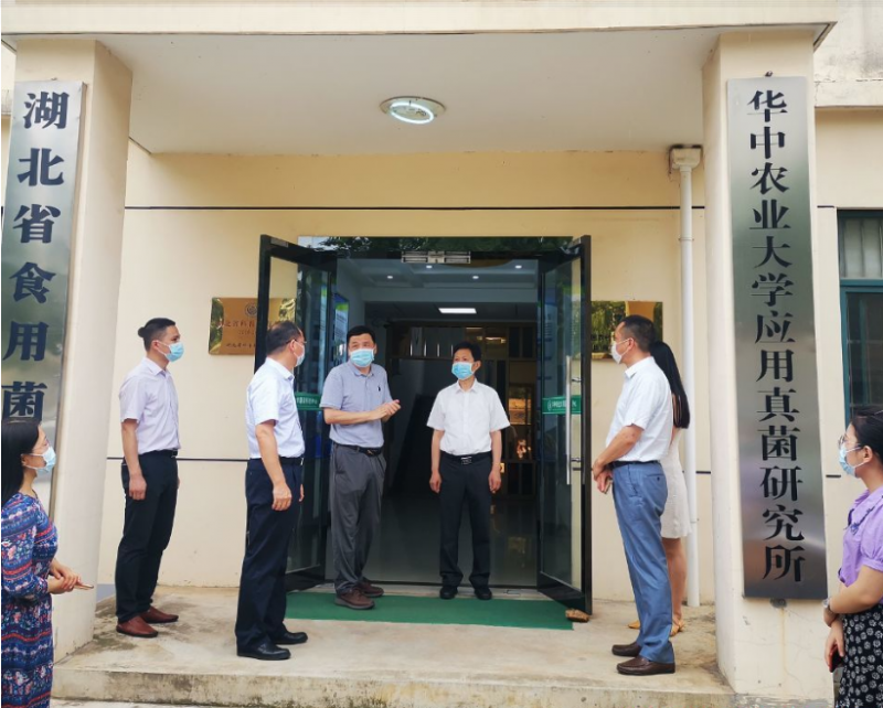 湖北省農業農村廳黨組成員、總農藝師李順清赴華中農業大學調研食用菌產業