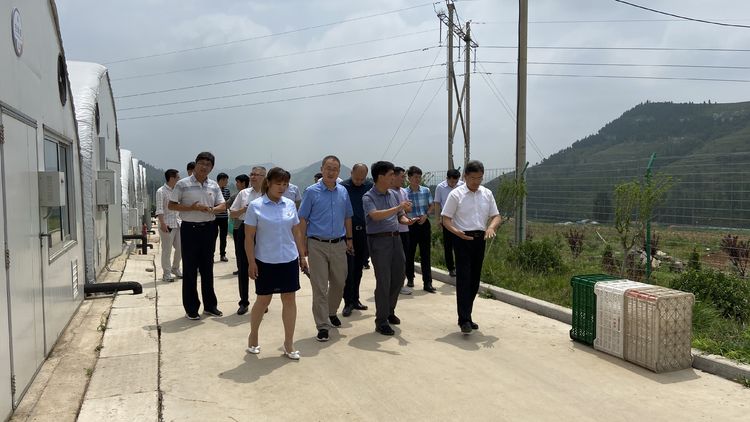 山东省委组织部派驻第一书记工作组赴七河生物沂源扶贫基地考察