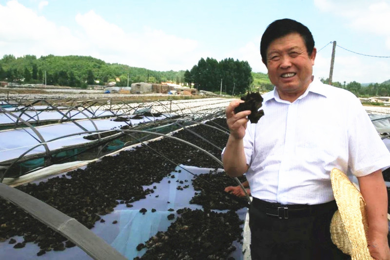 李玉：我懷揣著一個食用菌產(chǎn)業(yè)強(qiáng)國的夢想