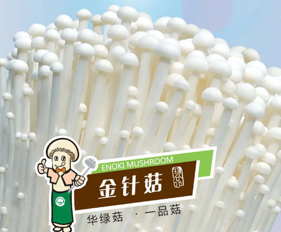 华绿生物创业板发行上市获受理