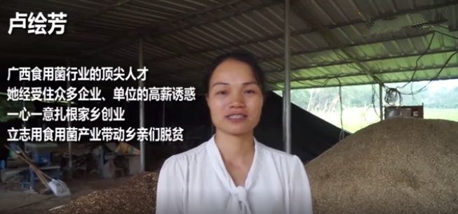 卢绘芳：立志用食用菌产业带动乡亲脱贫致富