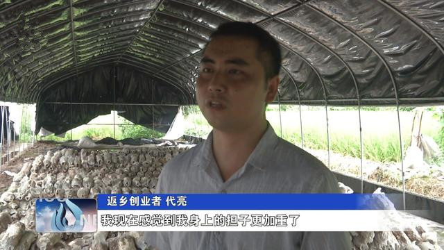 代亮：返乡创业种植食用菌 带动群众共致富