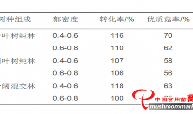 林下栽培榆黄蘑，如何选择林地？