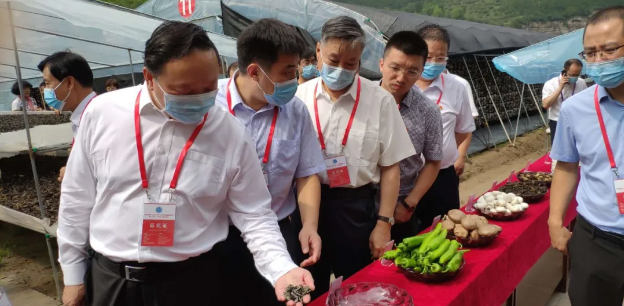 第五屆全國（山西·中陽）木耳產業創新發展大會暨“小木耳、大產業”學習研討會在山西