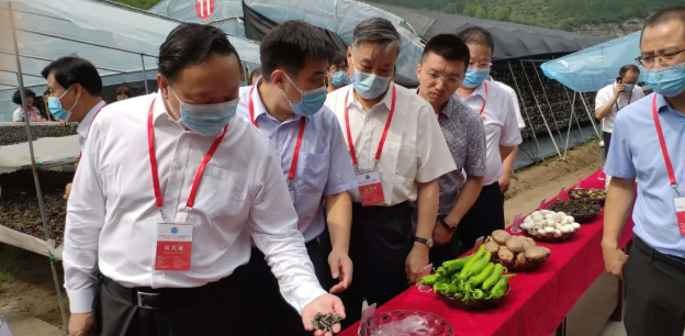 第五届全国（山西·中阳）木耳产业创新发展大会暨“小木耳、大产业”学习研讨会在山西