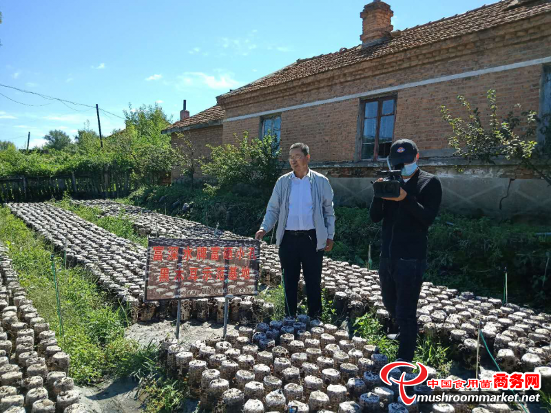 黑龙江：穆棱市老科协会长曹贻先一行到林口县就新品种新技术绿色产业进行考察学习交流