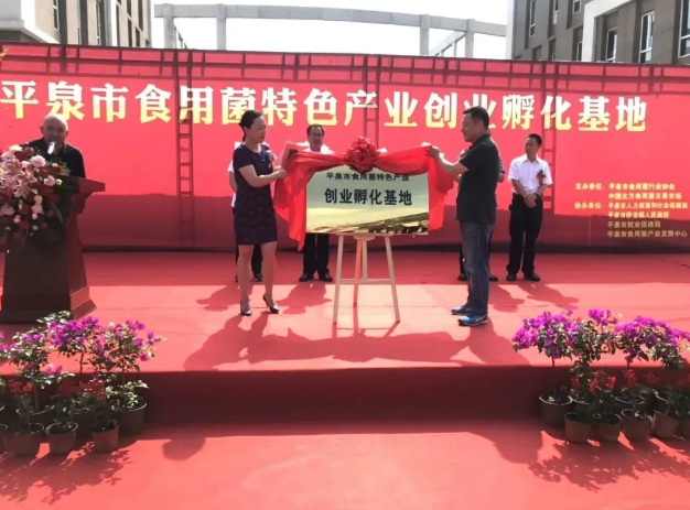 河北：平泉市食用菌特色產(chǎn)業(yè)創(chuàng)業(yè)孵化基地揭牌