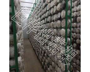 蘑菇网格网架厂家 支持定制 食用菌出菇架 上门安装