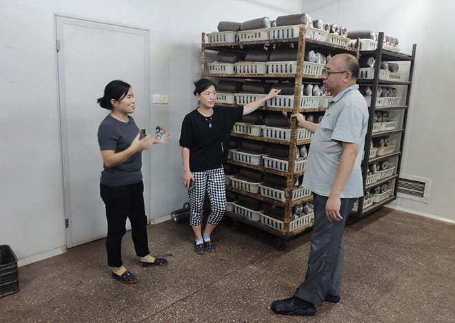 北京食用菌協會赴河北開展技術服務指導工作