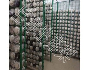 养菌架的制作方法 厂家销售食用菌网格架 防腐蚀蘑菇架