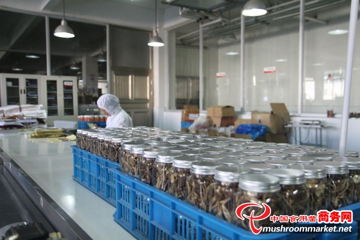 發(fā)展食用菌深加工產(chǎn)品具有廣闊市場前景