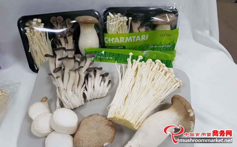 韓國：食用菌等農(nóng)產(chǎn)品進入中國市場，機遇和挑戰(zhàn)并存