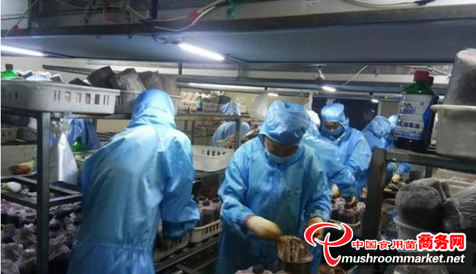 甘肃张掖市：第三期甘州区食用菌生产工培训班成功举办