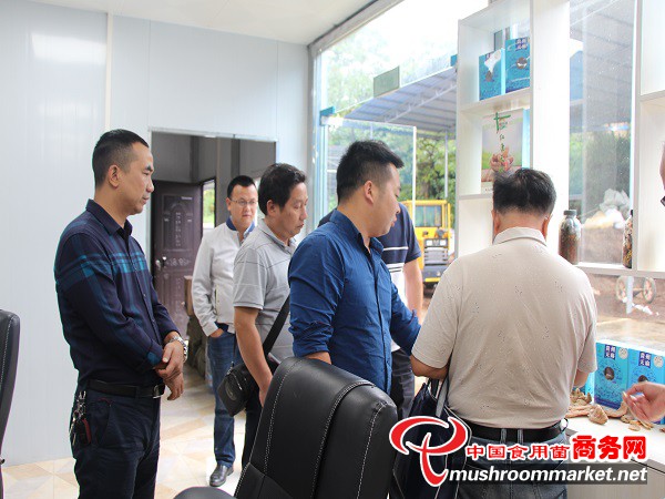 貴州雷山縣：農業局領導參觀天麻示范基地 了解林下經濟發展