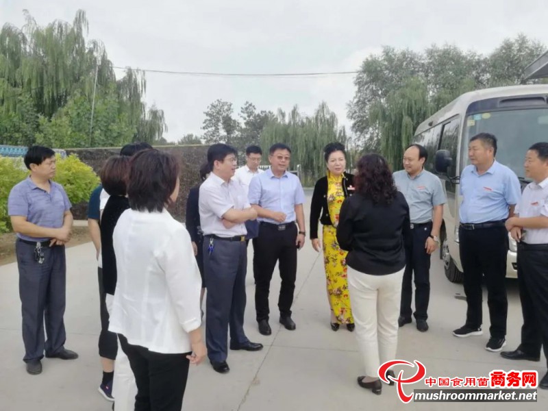 鄭州圓方集團黨委書記一行考察河北寧晉縣羊肚菌種植基地