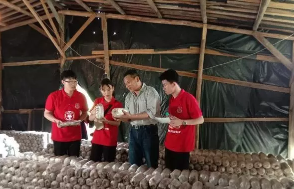 李榮同：把論文寫在大地上的“農(nóng)民教授”