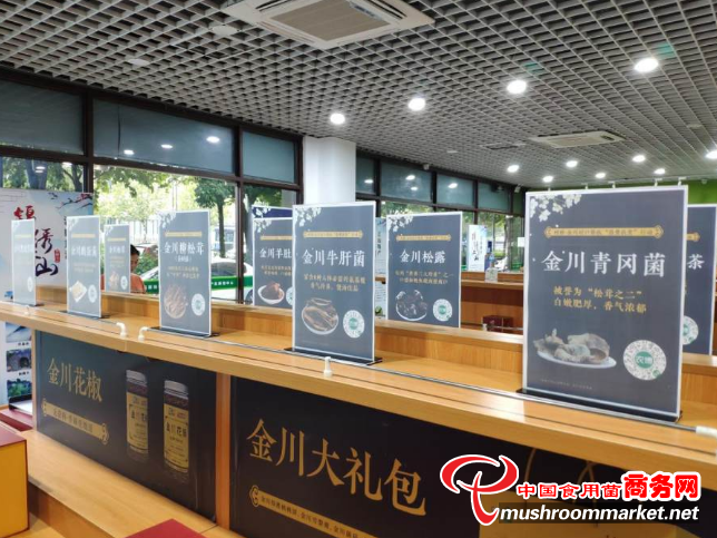 對口幫扶工作顯成效 “線上+線下”助力金川食用菌進紹興