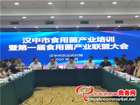 陜西省漢中市食用菌產業聯盟成立儀式順利舉行