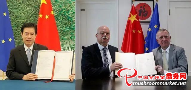 慶元香菇、東寧黑木耳等食用菌產(chǎn)品入選中歐地標(biāo)保護產(chǎn)品