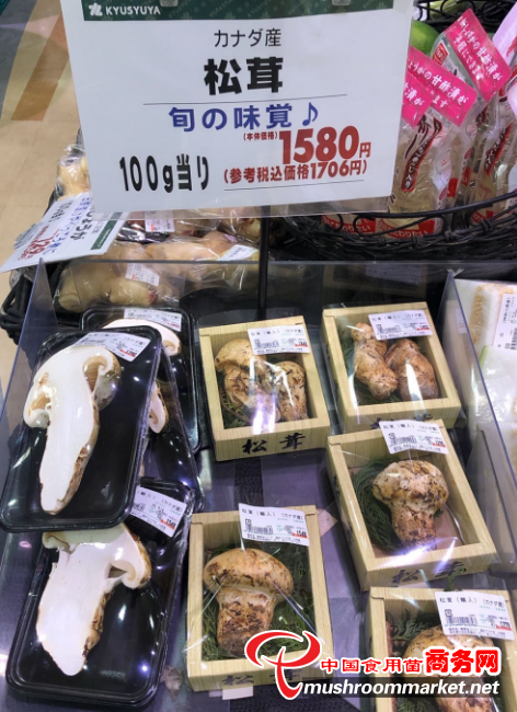 松茸對日出口量滑坡