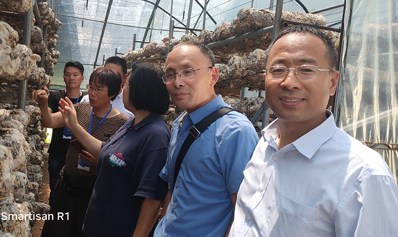 張玉紅：一生專注平菇半熟料栽培技術研發和推廣