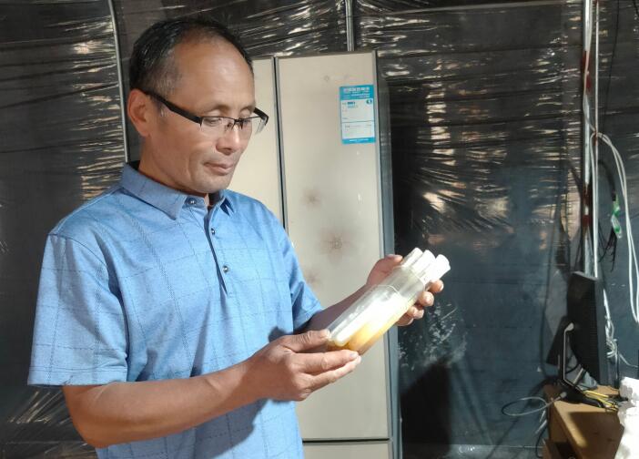 張玉紅：一生專注平菇半熟料栽培技術研發和推廣