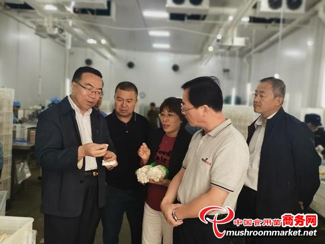 甘肃省科技厅副厅长巨有谦到张掖市甘州区调研食用菌产业