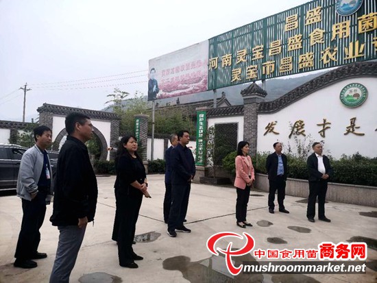 國家農業農村部農產品質量監管司副司長方曉華一行到河南省靈寶市昌盛食用菌公司調研