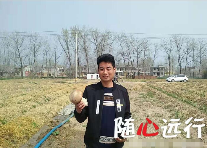 陳斌：提高大球蓋菇優質高產技術 造福菇農