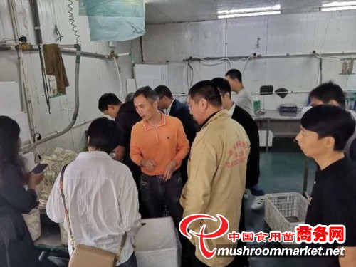 浙江省海鲜菇精准栽培技术现场观摩培训会在金华市召开