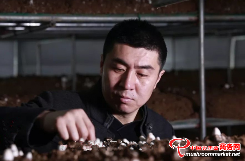 宋益勝：立足創(chuàng)新 帶動(dòng)我國農(nóng)法栽培食用菌技術(shù)提檔升級(jí)