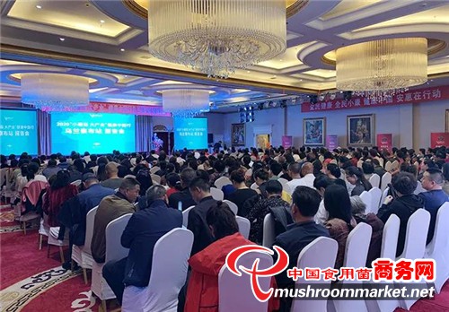 2020“小蘑菇，大产业”健康中国行报告会在内蒙古乌兰察布举行