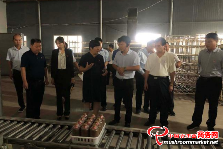 河南寶豐縣政協主席湯紅漫一行到太康縣參觀考察食用菌種植企業
