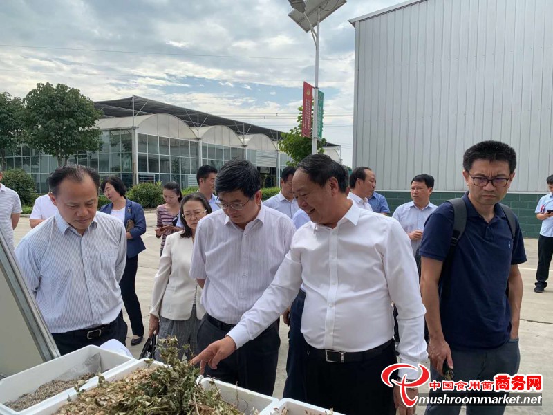 生態(tài)環(huán)境部固體廢物與化學(xué)品司司長邱啟文一行蒞臨許昌世紀(jì)香食用菌產(chǎn)業(yè)園開展無廢城市