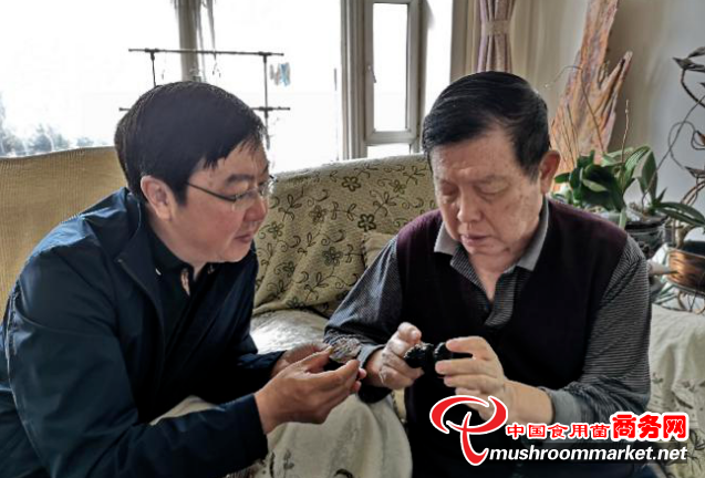 新發現！吉林農業大學校園驚現塊菌
