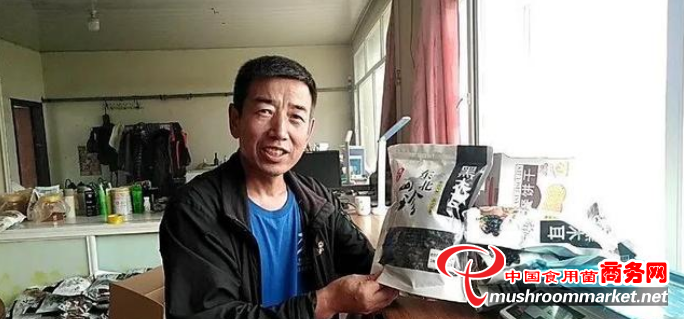 黑龙江木兰县：木耳连续收获五茬，广受消费者欢迎
