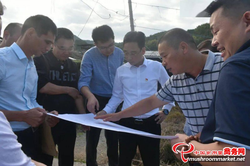 福建古田县委副书记黄其山调研当地乡镇食用菌产业发展情况