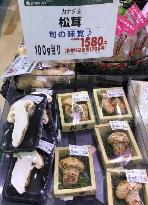 今年松茸季“異變”：對日出口滑坡 頂級松茸國內熱賣——不僅因為疫情
