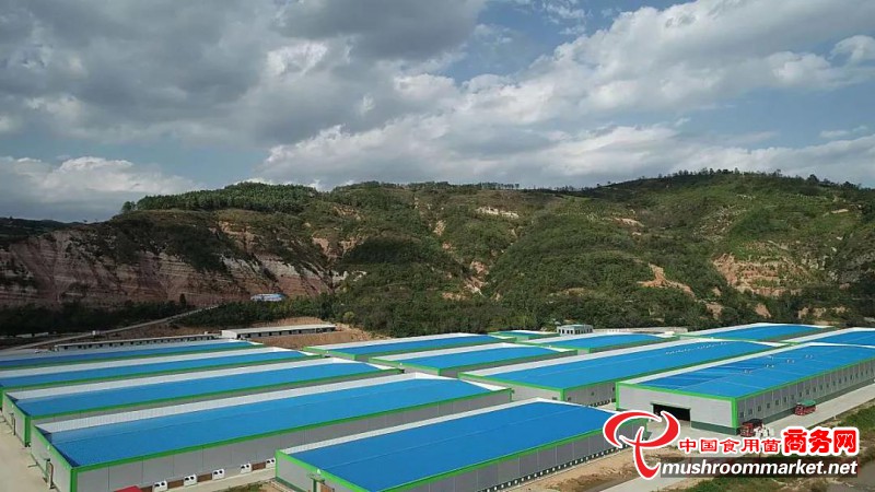 2020中國（三門峽）食用菌新產品新技術博覽會參觀基地亮點突出，帶給您不一樣的體驗！