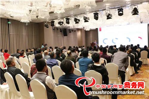 2020中国（三门峡）国际食用菌新产品新技术博览会召开在即 下半年最值得期待的展会不