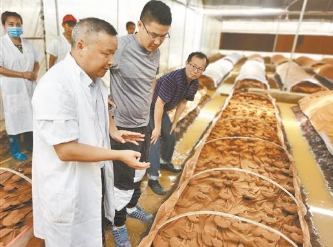 姜性堅：投身菌業30余年，將食用菌種植技術“灑”向三湘大地