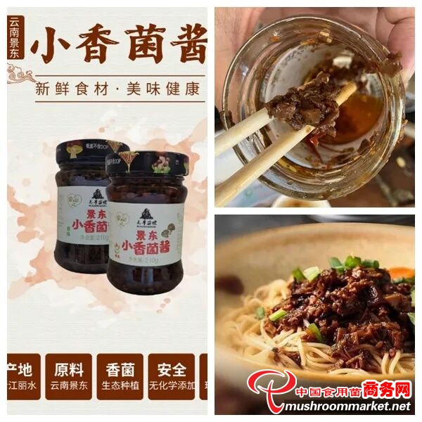 云南省景东县：小香菌酱从深山端上都市餐桌