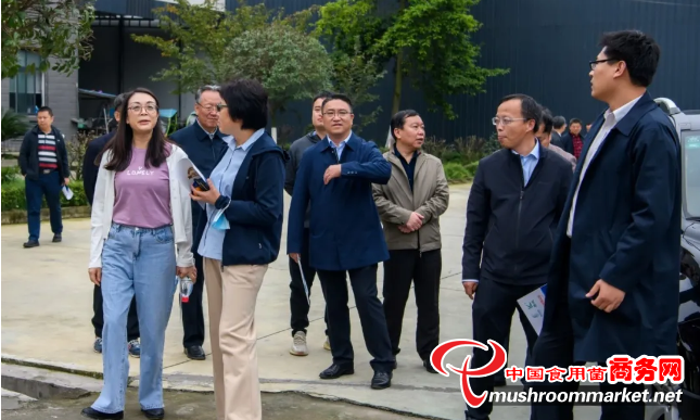 中国工程院院士李天来一行赴四川省彭州市调研指导食用菌产业
